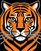 Bold Orange Black Tiger Face Rug