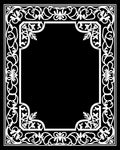 Elegant White Floral Vine Border Rug