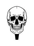 Black White Skull Frontal View Rug