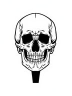 Black White Skull Frontal View Rug