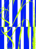 Electric Blue White Stripe Grass Swirls Rug