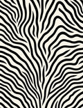Striking Black White Zebra Lines Rug