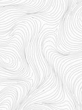 Minimalist Gray Contour Flow Rug