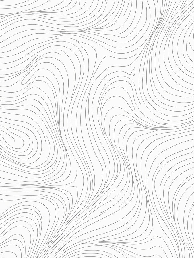 Minimalist Gray Contour Flow Rug