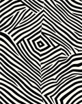 Bold Black White Organic Zebra Rug