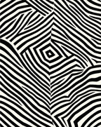 Bold Black White Organic Zebra Rug
