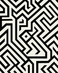 Sharp Monochrome Maze Lines Rug
