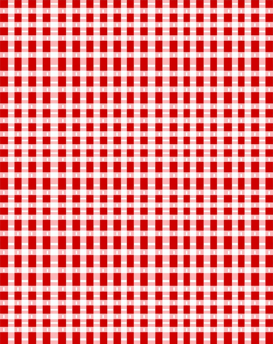 Classic Red White Gingham Checked Rug