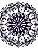 Dark Purple Black Radial Blossom Rug