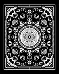 Ornate Black White Sunburst Paisley Rug