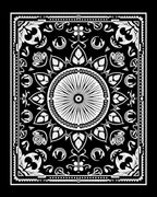 Ornate Black White Sunburst Paisley Rug