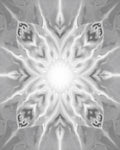 Radiant Silver Floral Sunburst Rug
