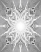 Radiant Silver Floral Sunburst Rug
