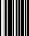 Bold Black White Vertical Stripe Rug