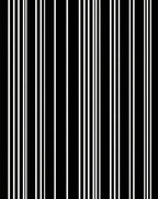 Bold Black White Vertical Stripe Rug