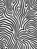 Black White Organic Swirl Lines Rug