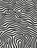 Black and White Wavy Stripe Abstract Rug