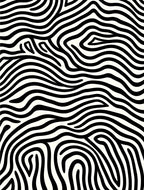 Black and White Wavy Stripe Abstract Rug