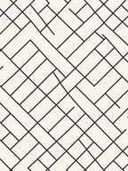 Modern Black White Interlocking Geometric Rug