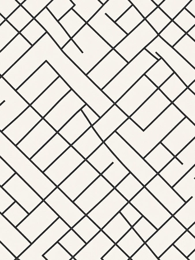 Modern Black White Interlocking Geometric Rug