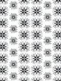Monochrome Starburst Radial Symmetry Rug