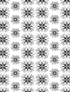 Monochrome Starburst Radial Symmetry Rug