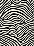 Bold Black White Animal Stripe Rug