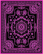 Vibrant Pink Black Medallion Paisley Rug