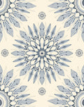 Cream Blue Radial Floral Starburst Rug