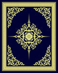 Navy Yellow Floral Medallion Border Rug