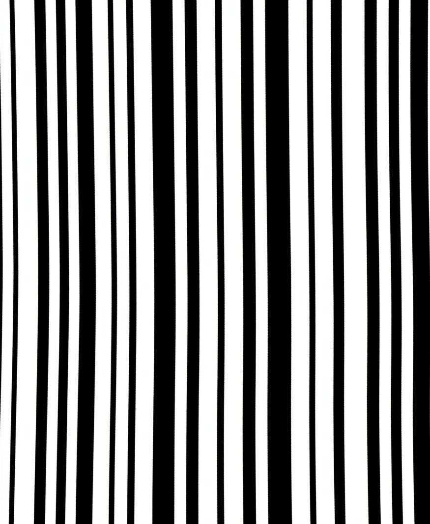 Sharp Alternating Monochrome Lines Rug