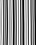 Sharp Alternating Monochrome Lines Rug