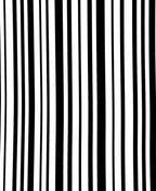 Sharp Alternating Monochrome Lines Rug