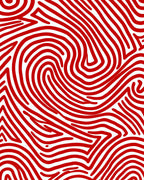 Dramatic Red and White Organic Lines Rug