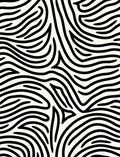 Black White Organic Abstract Lines Rug