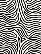 Black White Organic Abstract Lines Rug