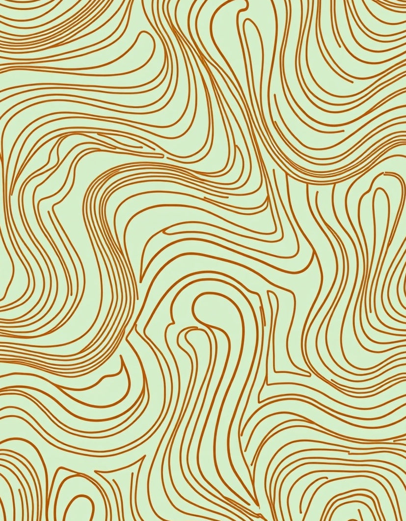Terracotta Swirls on Pale Green Background Rug