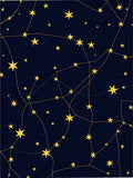 Golden Starry Celestial Night Backdrop Rug