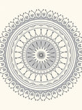 Gray Mandola Medallion Sunburst Rug
