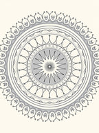 Gray Mandola Medallion Sunburst Rug