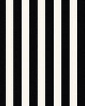 Bold Black and White Vertical Stripes Rug