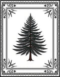 Ponderosa Pine Forest Framed Art Rug