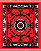 Vibrant Red Black Medallion Border Rug