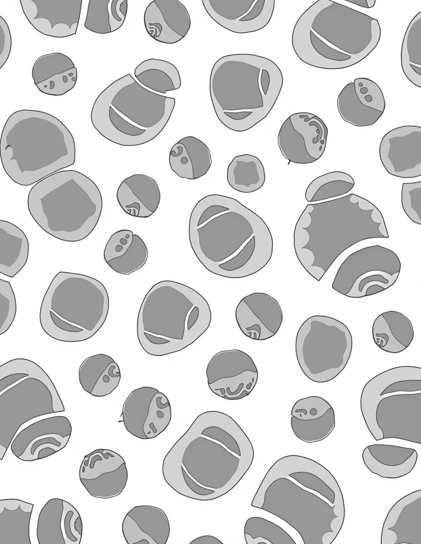 Gray Pebble Scatter Rug