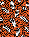 Bright Orange Abstract Sausage Swirl Rug