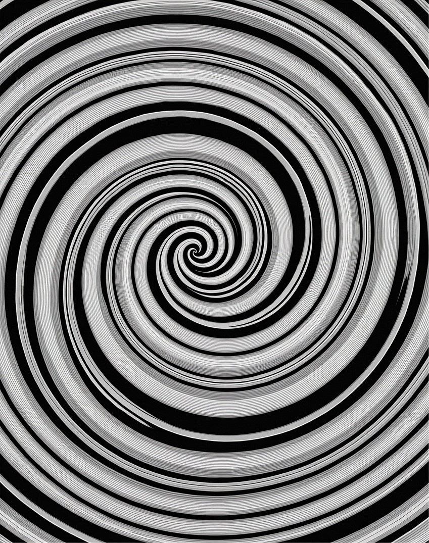 Black White Spiral Optical Illusion Rug