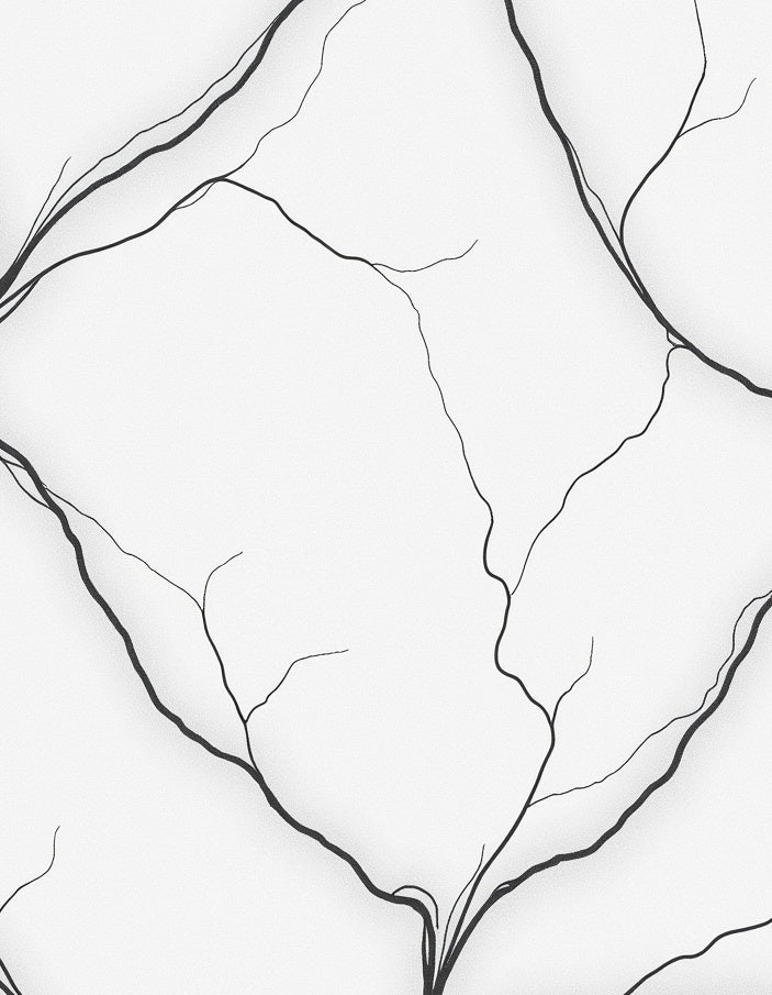 Monochrome Abstract Branch Lattice Rug