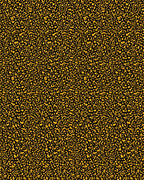 Abstract Organic Gold Black Rug