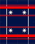 Bold Navy Red Striped Star Rug