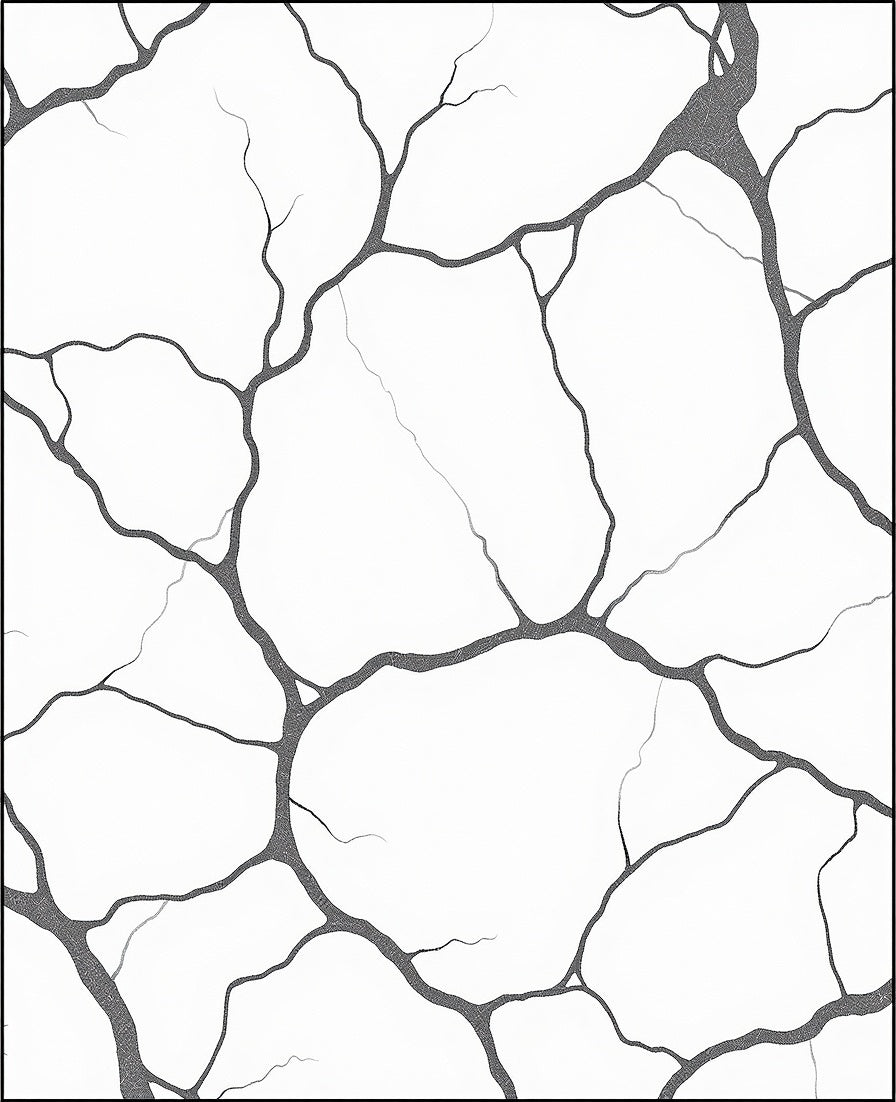 Monochrome Cracked Earth Abstract Rug